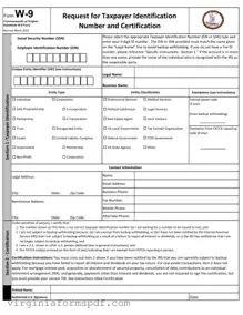 Virginia State W 9 Form